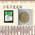 沙蒿子透皮贴/透皮贴厂家/透皮贴oem贴牌