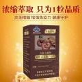 善食金维牌 破壁灵芝孢子粉片