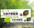 紫仙缘  五倍子修复膏