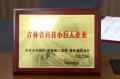 吉林省科技小.