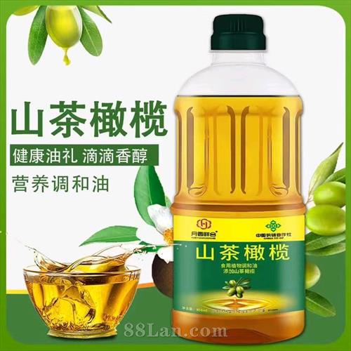 山茶橄榄油