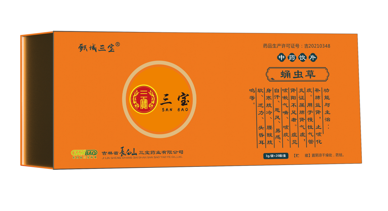 蛹虫草 中药饮片