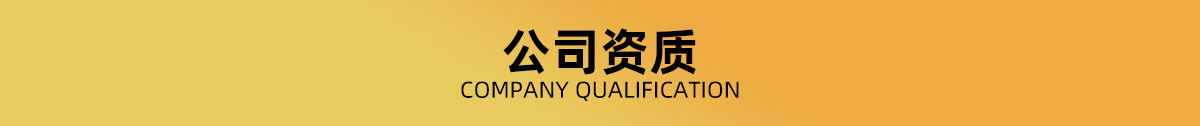 山东隆康药业有限公司
