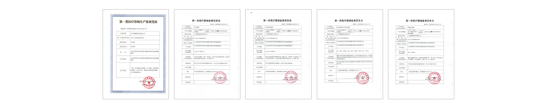 山东隆康药业有限公司